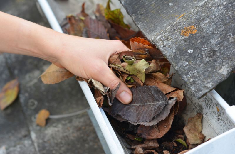 Debris-Free Gutters
